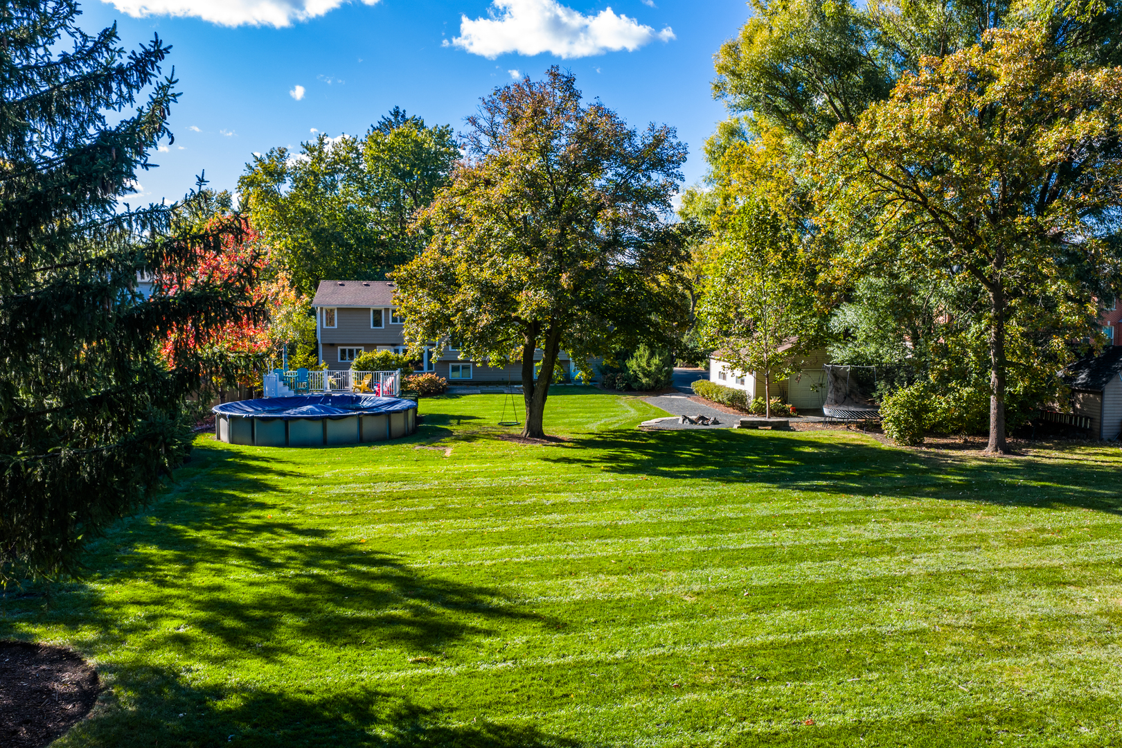 4733 Roslyn Road Downers Grove, IL 60515 - Photo 36 of 46 a view of a park with large trees