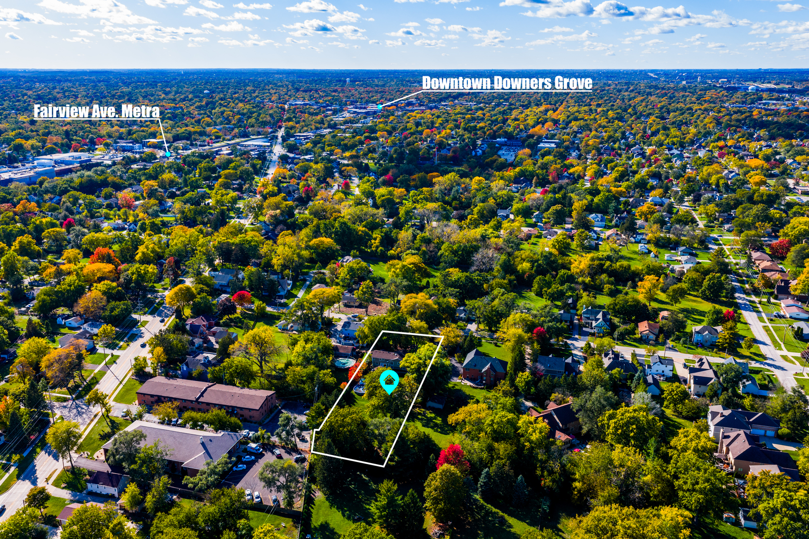 4733 Roslyn Road Downers Grove, IL 60515 - Photo 41 of 46 a view of a bunch of flowers