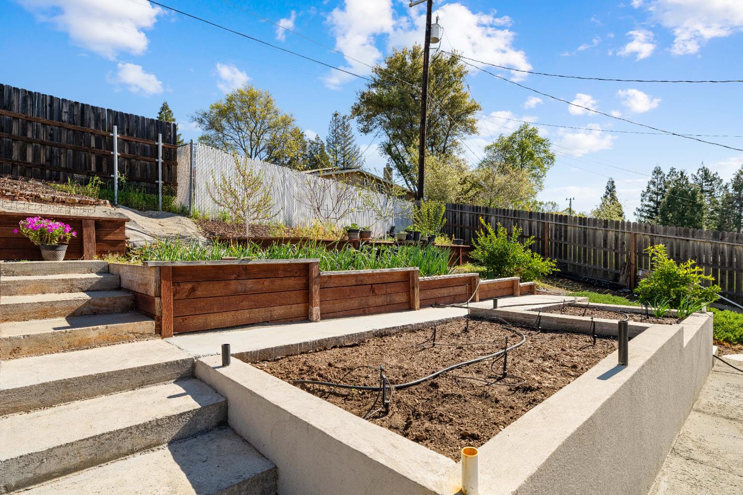 3629 Chelsea Road Cameron Park, CA 95682 - Photo 38 of 44 a view of a chairs and table in the backyard