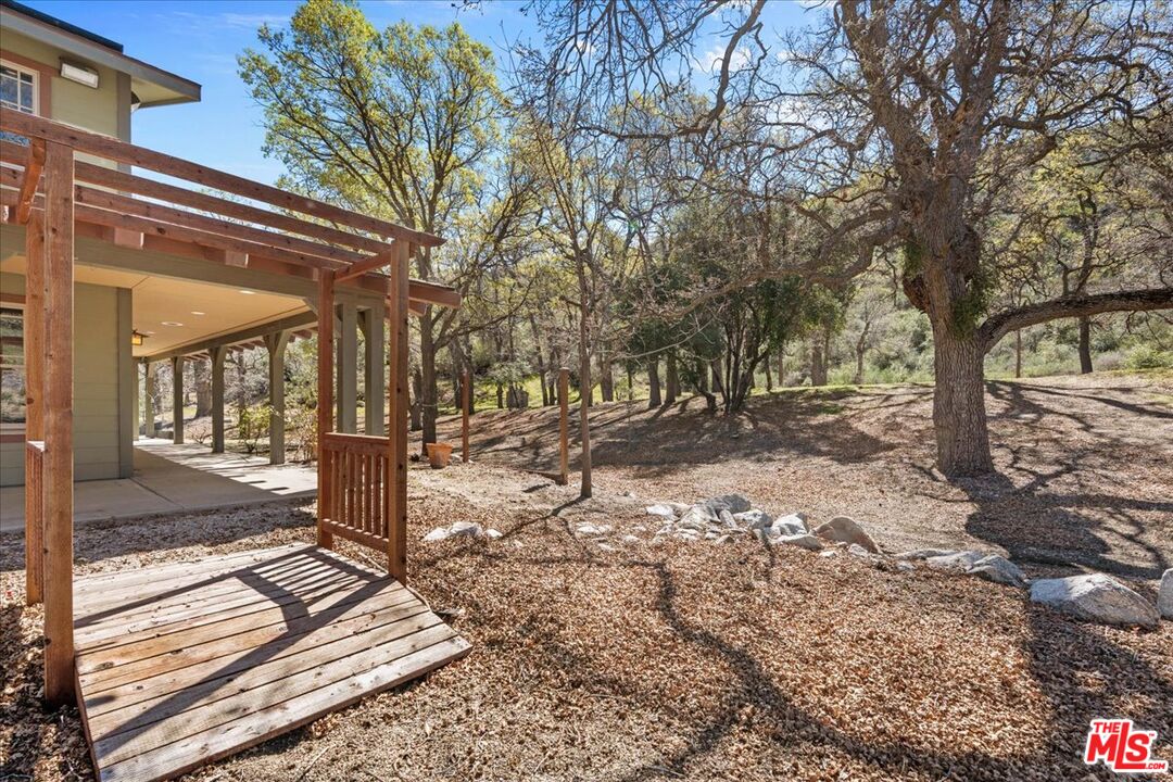 28200 Pine Canyon Road Lake Hughes, CA 93532 - Photo 38 of 52 a view of a yard with plants and trees