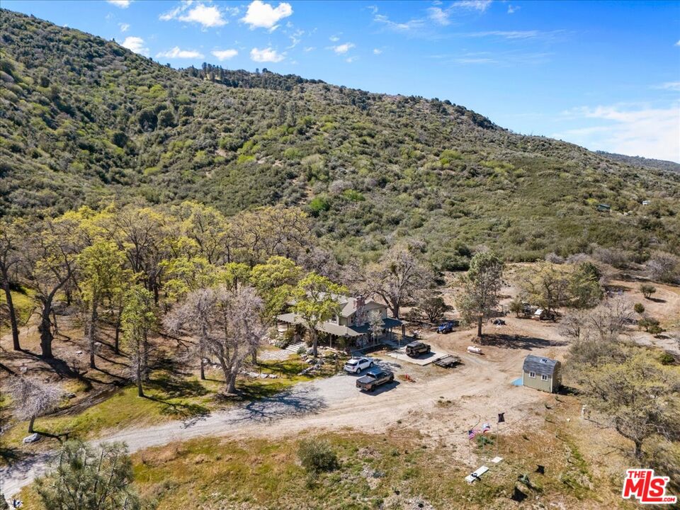 28200 Pine Canyon Road Lake Hughes, CA 93532 - Photo 42 of 52 a view of a yard with a tree