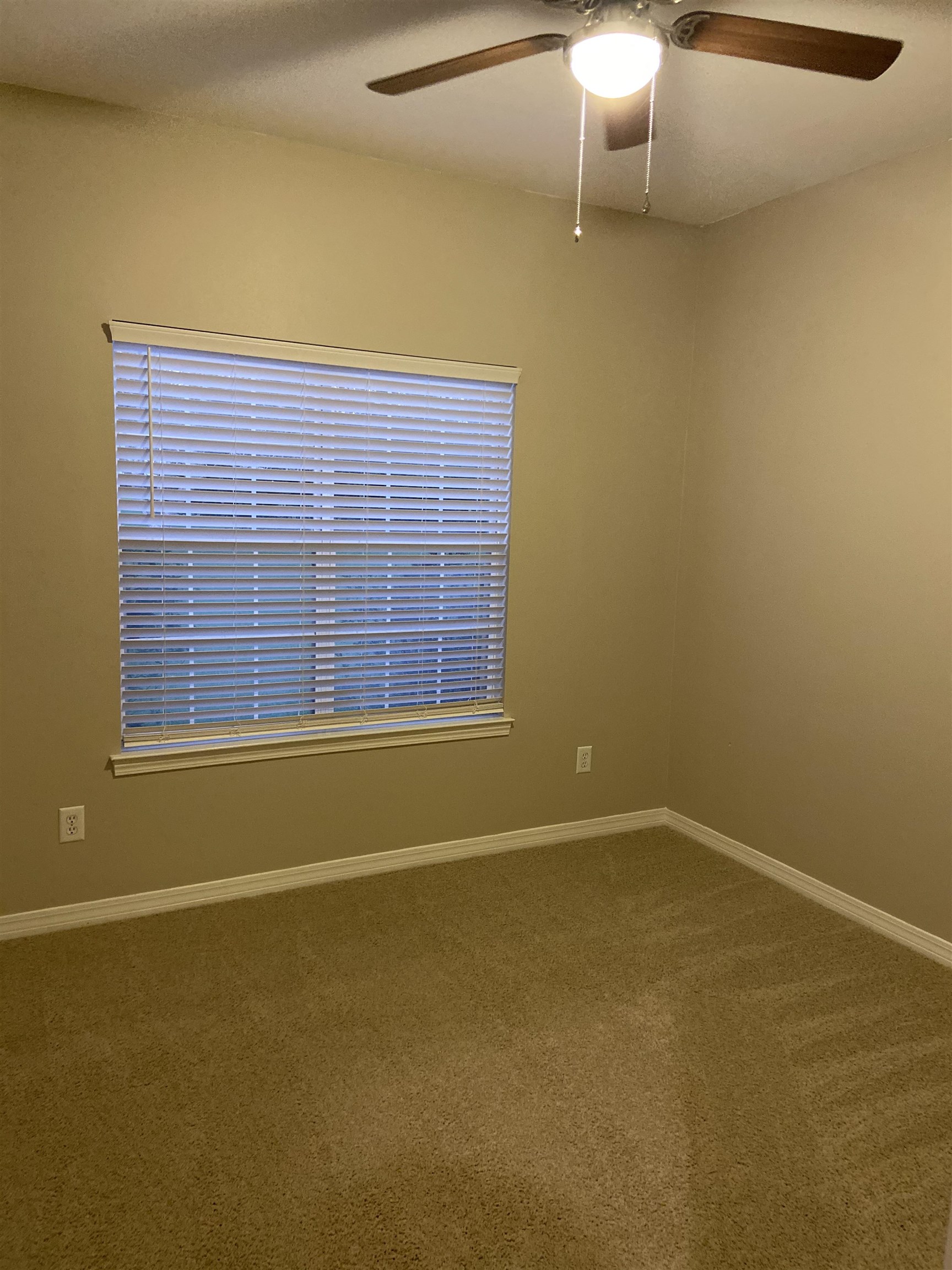 23045 County Road 12 South Foley, AL 36535 - Photo 11 of 32