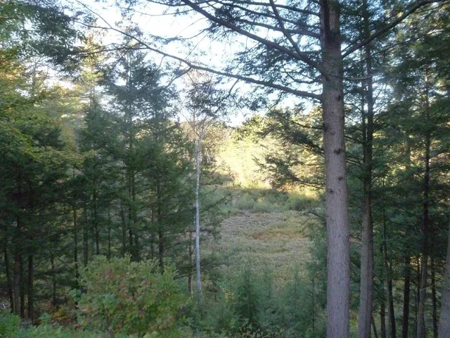 $295,000 | 3 Shop Road, Hill, NH 03243