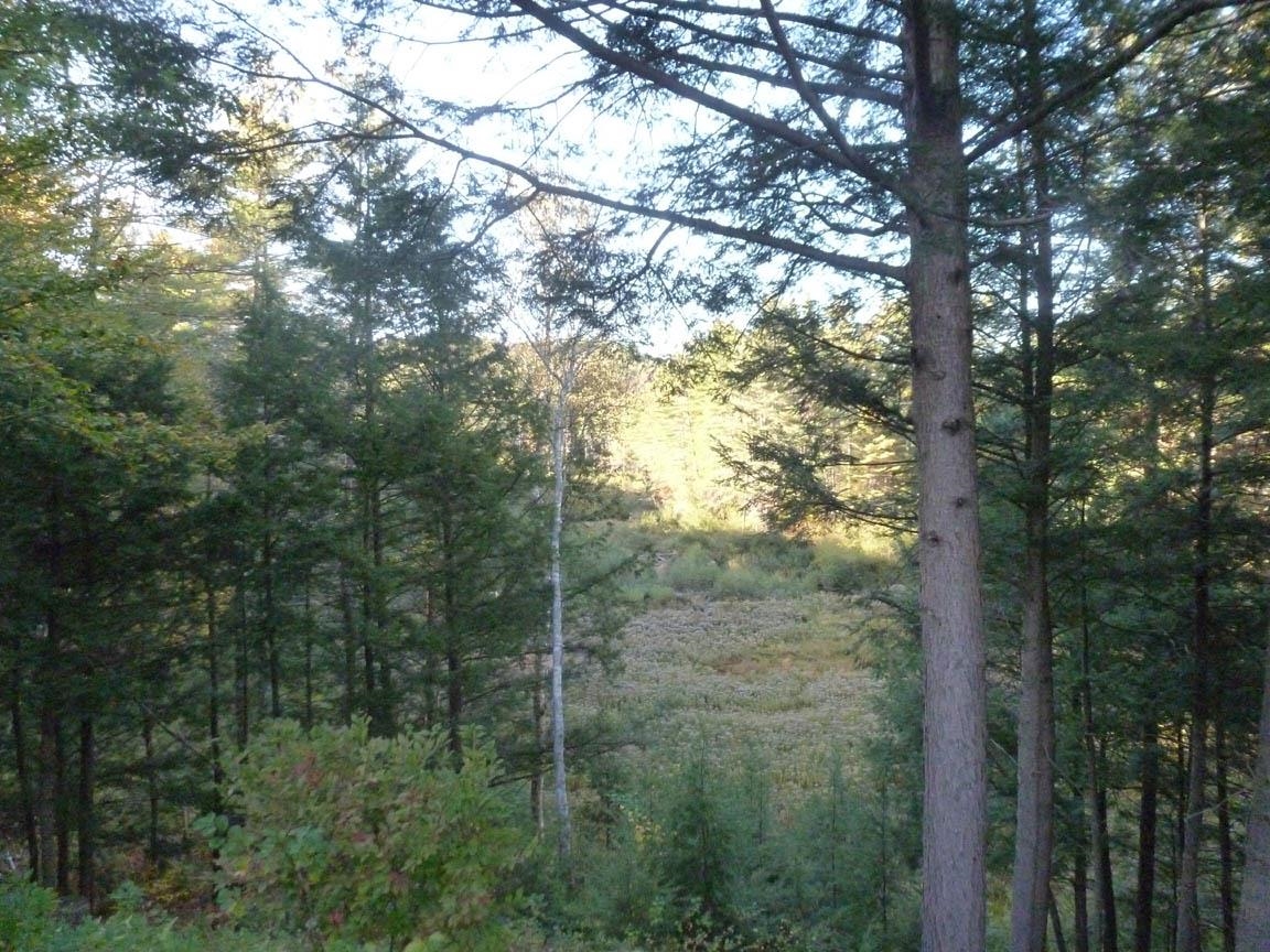 3 Shop Road Hill, NH 03243 - Photo 21 of 31