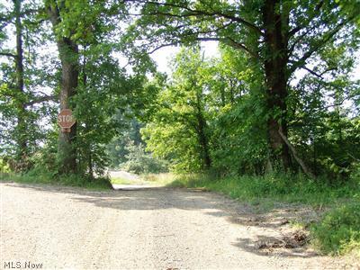 Skeleton Road Dellroy, OH 44620 - Photo 1 of 1
