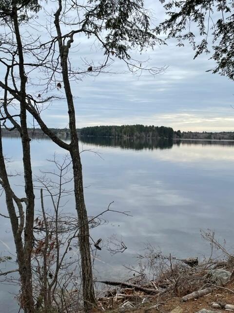 Pettinga-viewoflake1