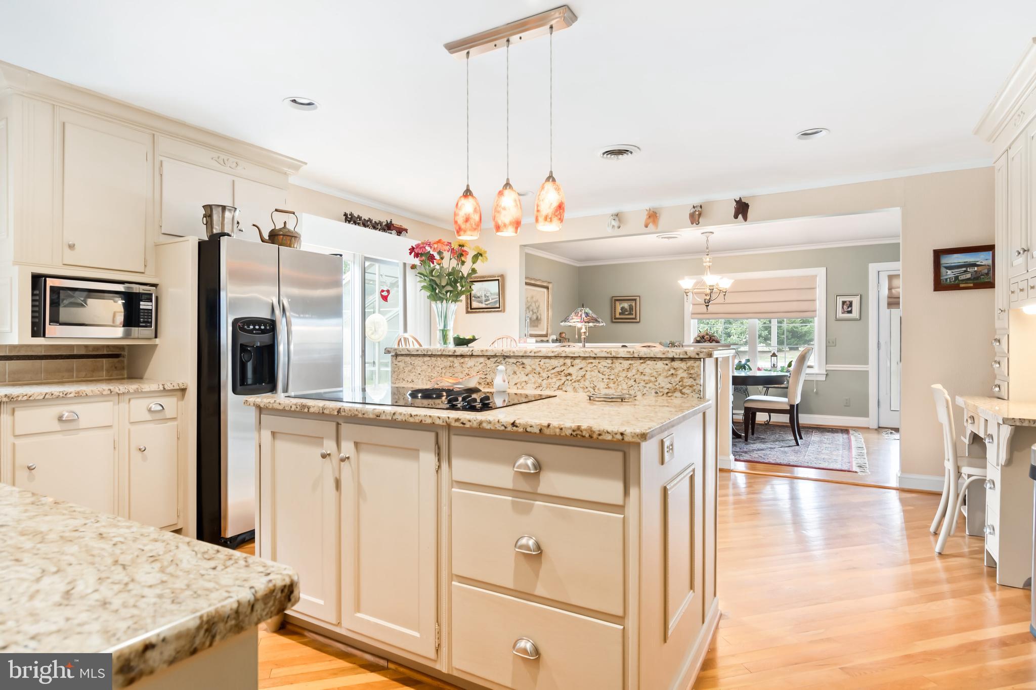 7898 Radcliffe Road Chestertown, MD 21620 - Photo 12 of 46 Updated Countertops
