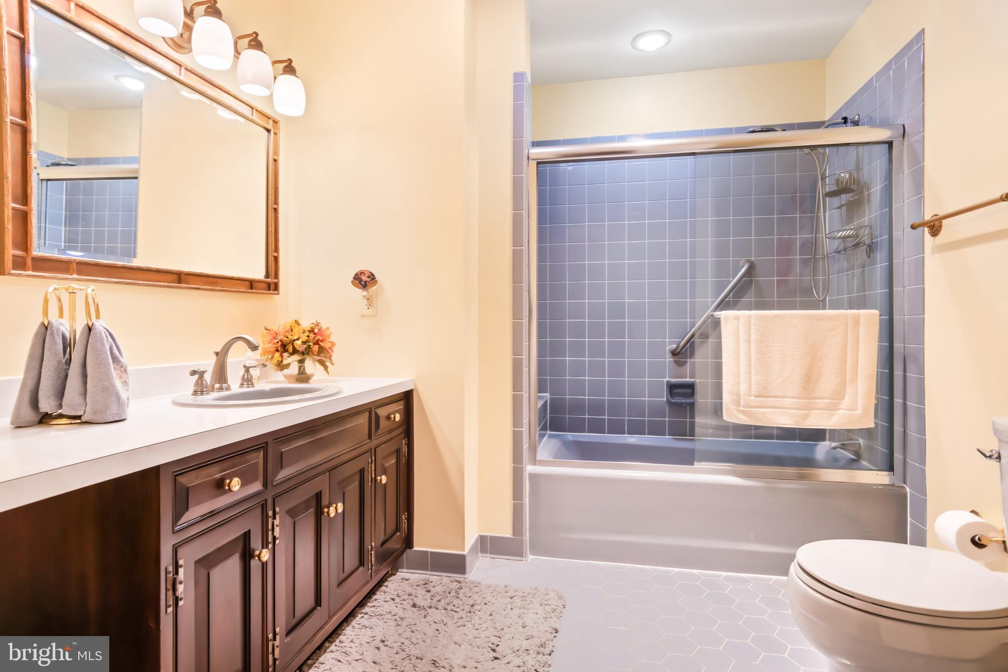 7898 Radcliffe Road Chestertown, MD 21620 - Photo 23 of 46 Hallway bath with a solar tube for more light