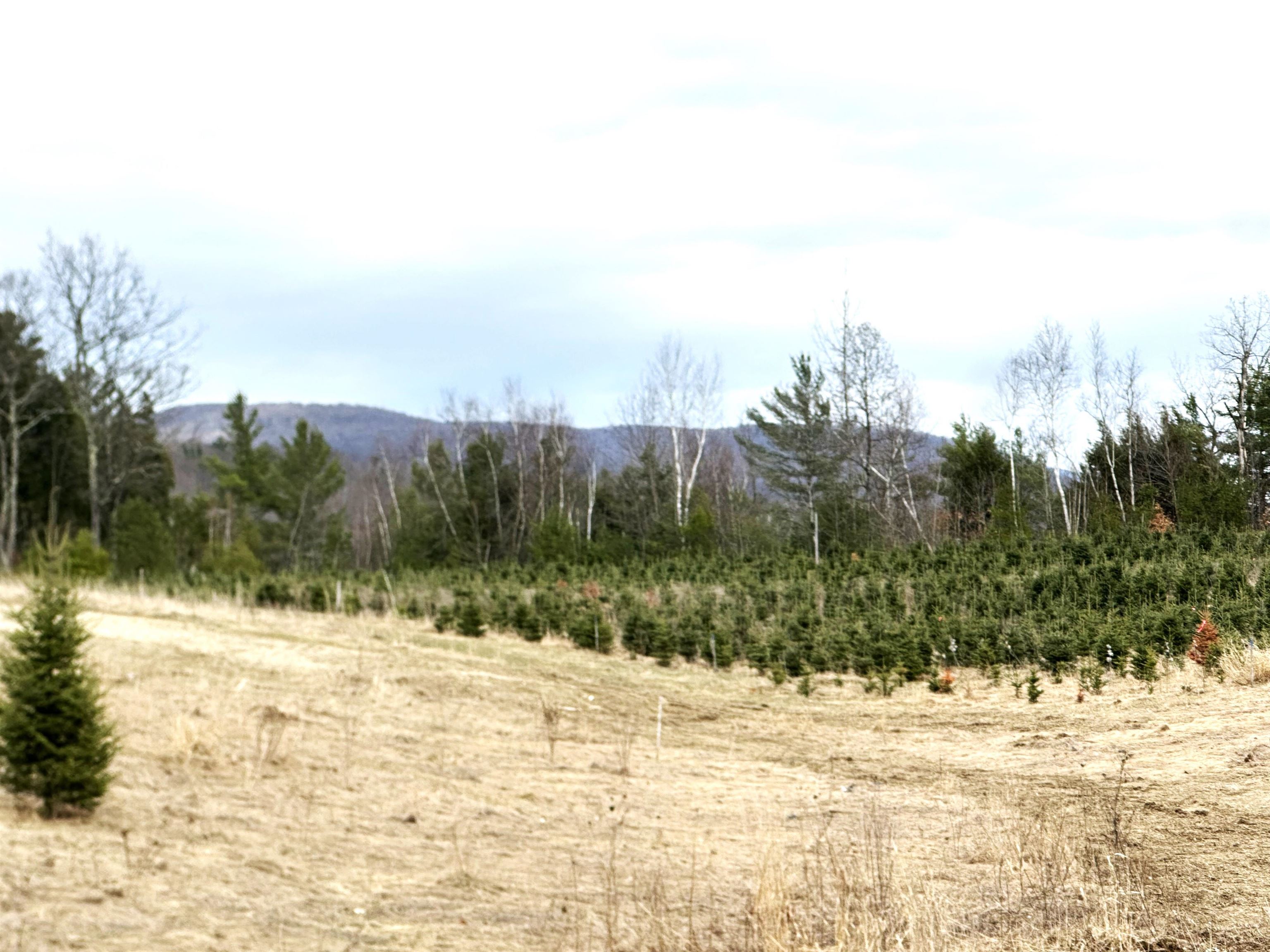 119 Shore Road, Unit 2 Jericho, VT 05465 - Photo 11 of 98