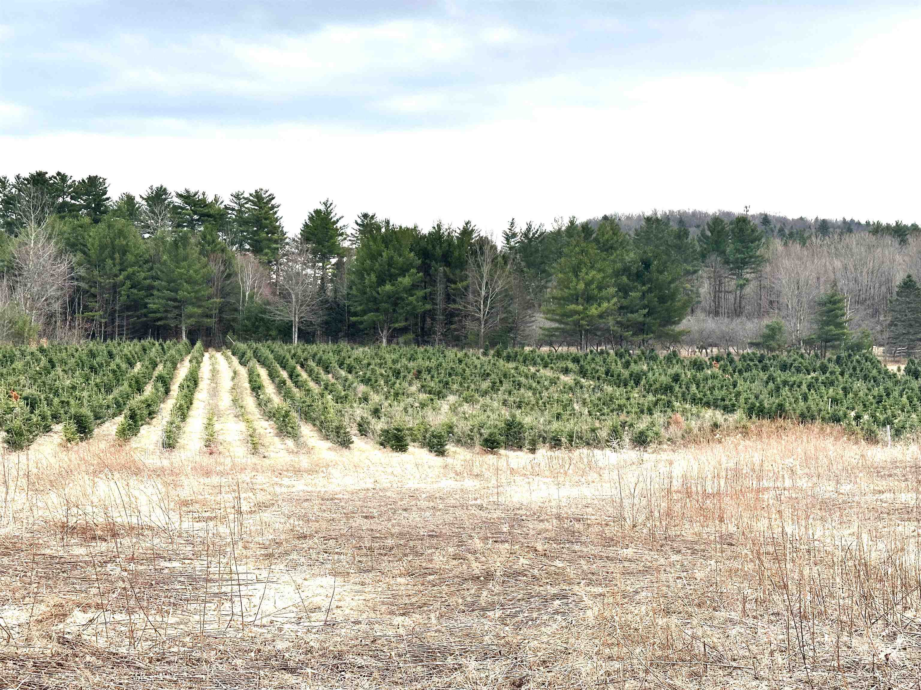 119 Shore Road, Unit 2 Jericho, VT 05465 - Photo 4 of 60