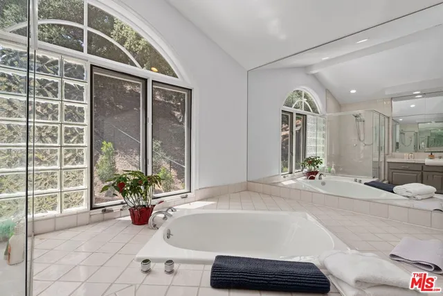 a bathroom with a tub a potted plant and a large window