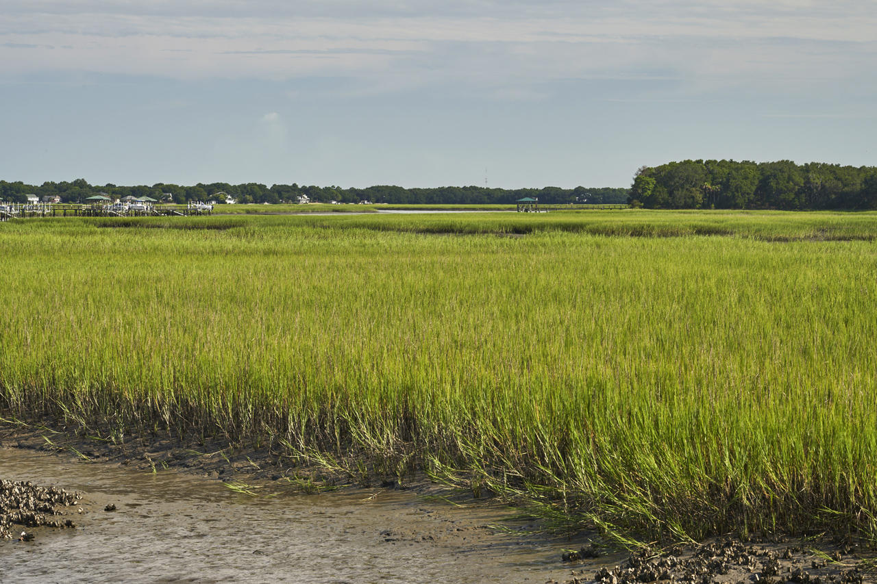 2216 Folly Road Charleston, SC 29412 - Photo 12 of 81 _MHS8840