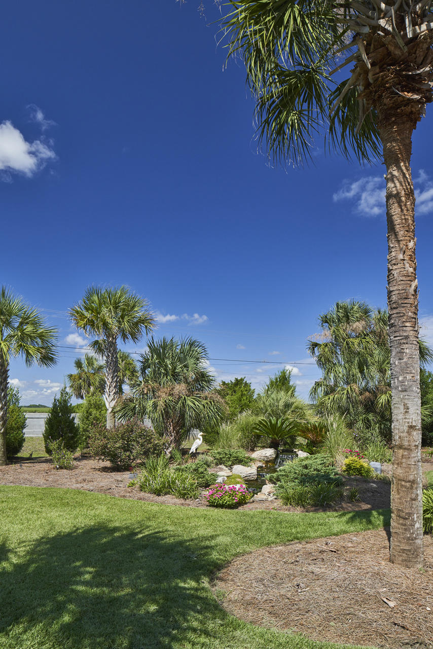 2216 Folly Road Charleston, SC 29412 - Photo 68 of 81 _MHS8953