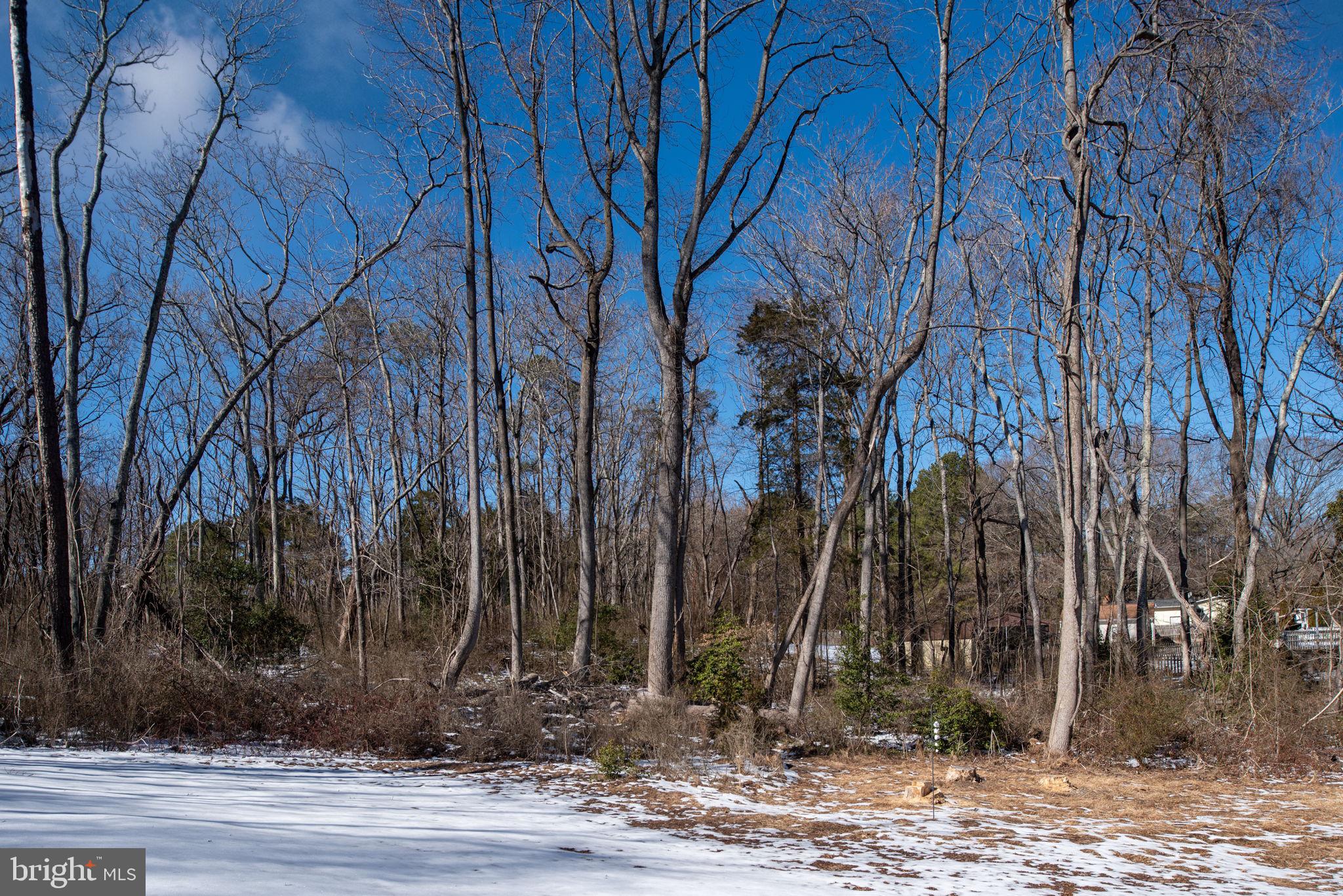 8438 Indiantown Road King George, VA 22485 - Photo 72 of 72 Gallery Image 72