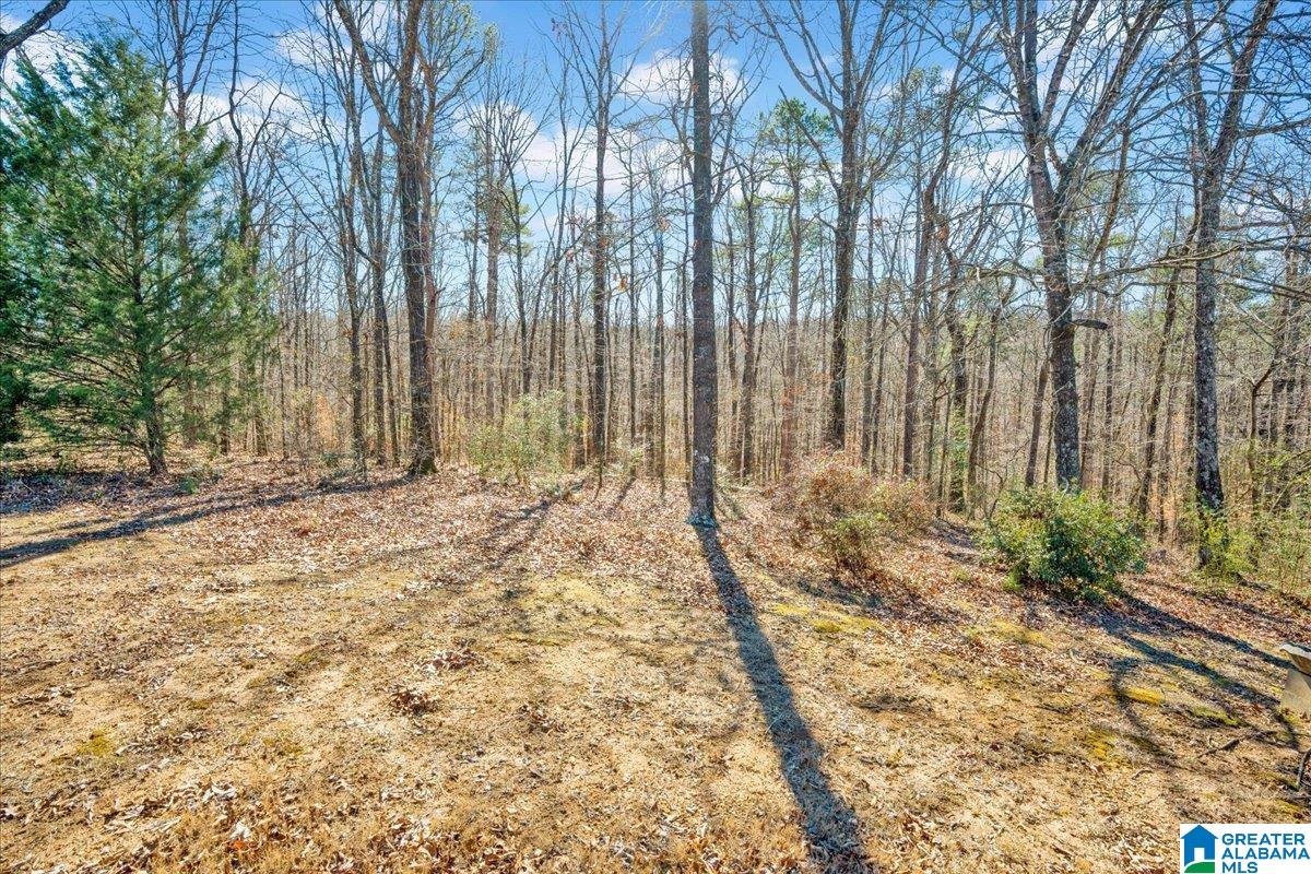 1025 Willowbrook Road Birmingham, AL 35215 - Photo 3 of 30