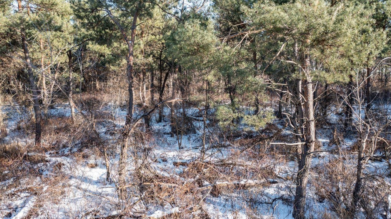 County Road Clintonville, WI 54929 - Photo 12 of 19