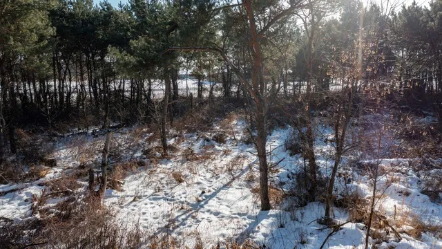 $413,800 | County Road, Clintonville, WI 54929