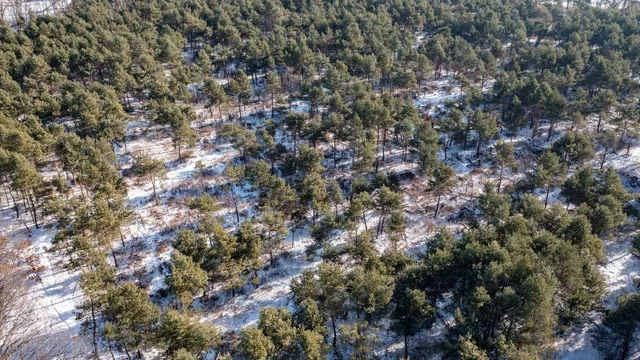 $413,800 | County Road, Clintonville, WI 54929