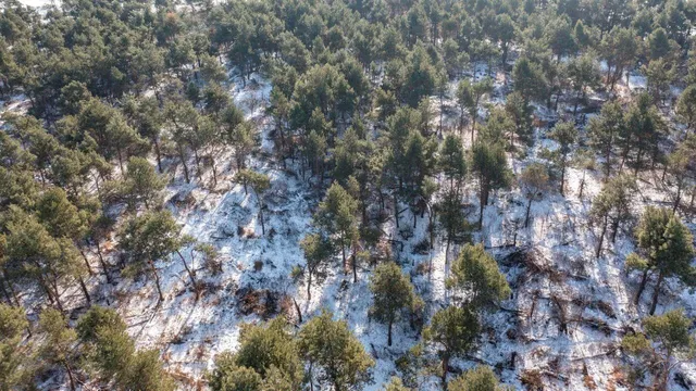 $413,800 | County Road, Clintonville, WI 54929