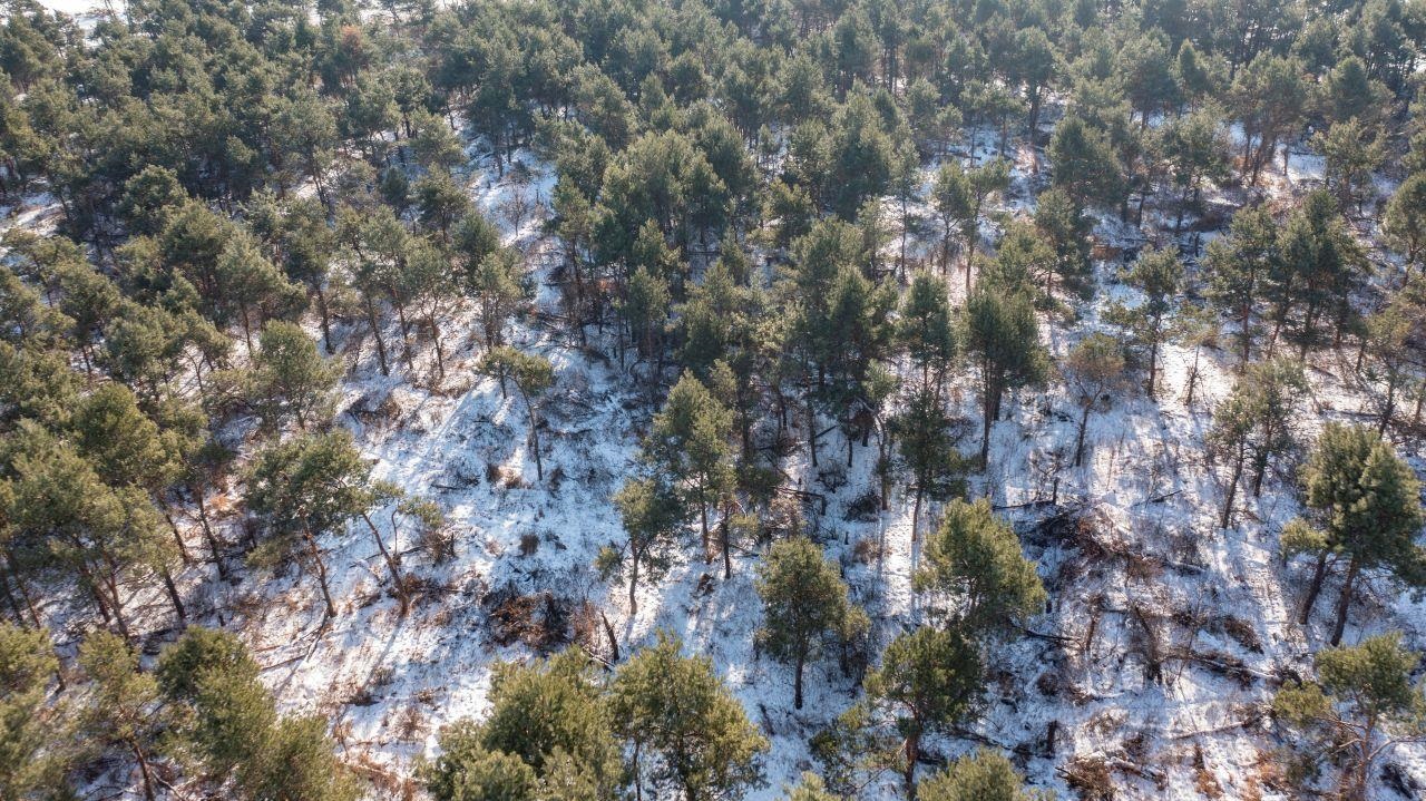 County Road Clintonville, WI 54929 - Photo 18 of 19