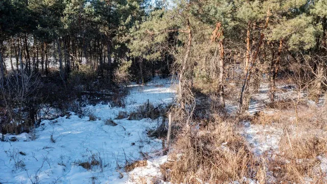 $335,500 | County Road, Clintonville, WI 54929