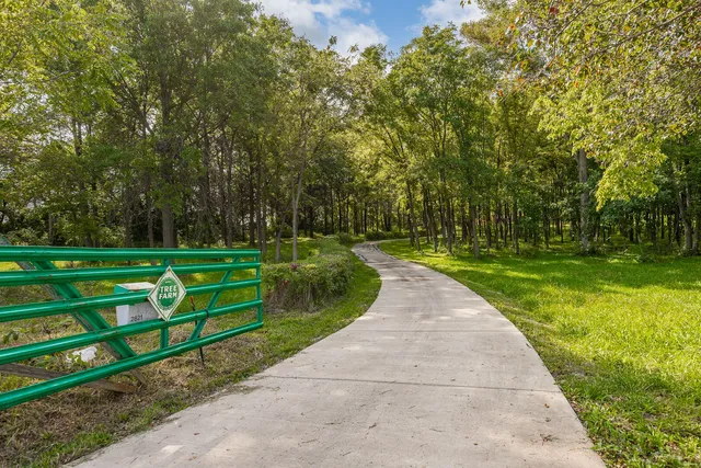 a view of a park with large trees