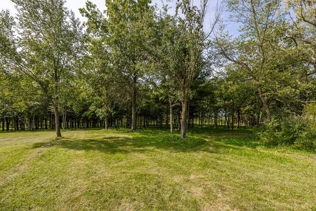 a backyard of a house with a trees and slides