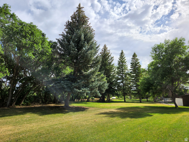 12615 Cedar Ridge Drive, Unit C41 Fairview, UT 84629 - Photo 23 of 32 View of grassy yard with view of wooded area