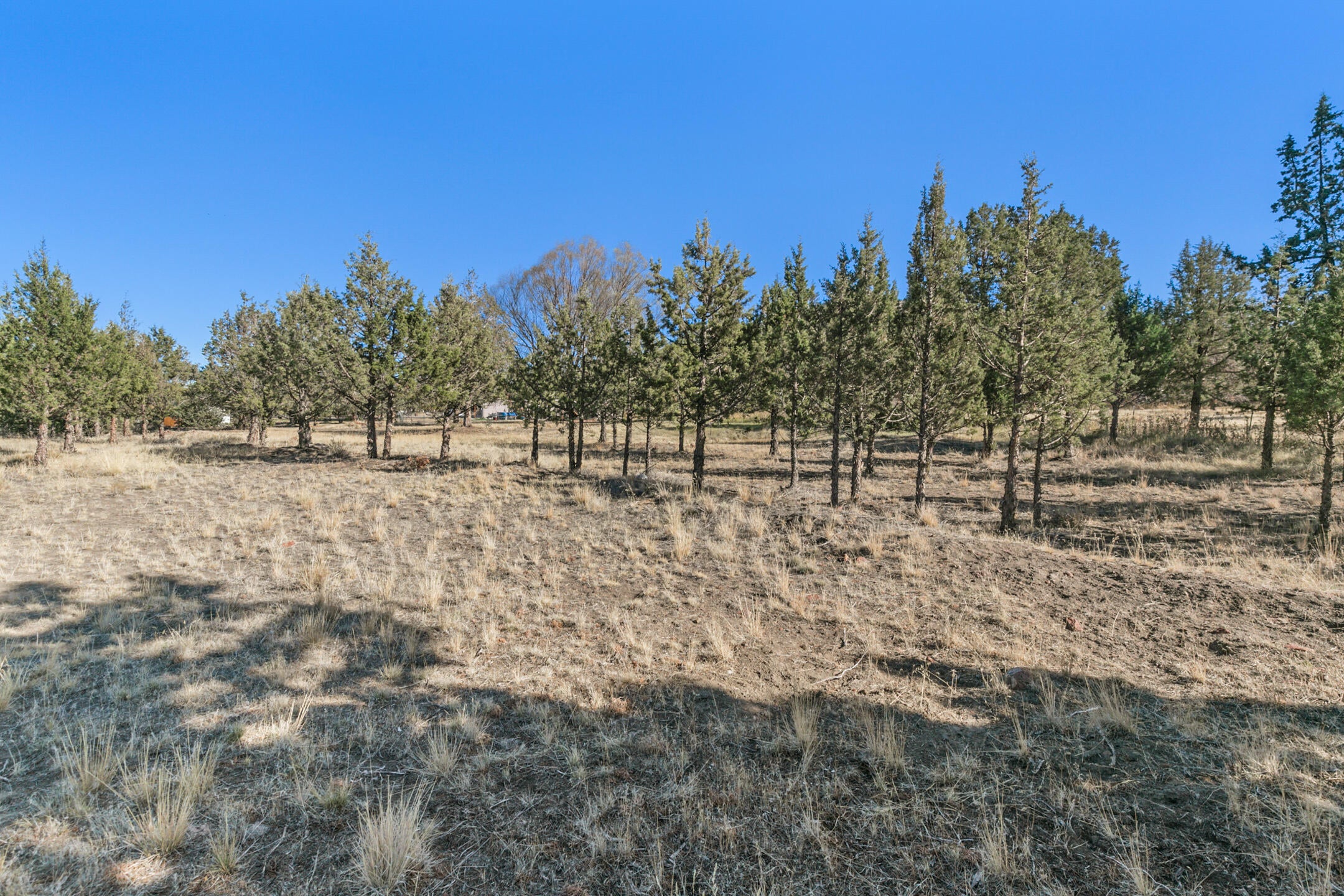 10228 Southwest Ruth Drive Culver, OR 97734 - Photo 8 of 38 2021_10_01_10225_s_ruth_dr_culver-8