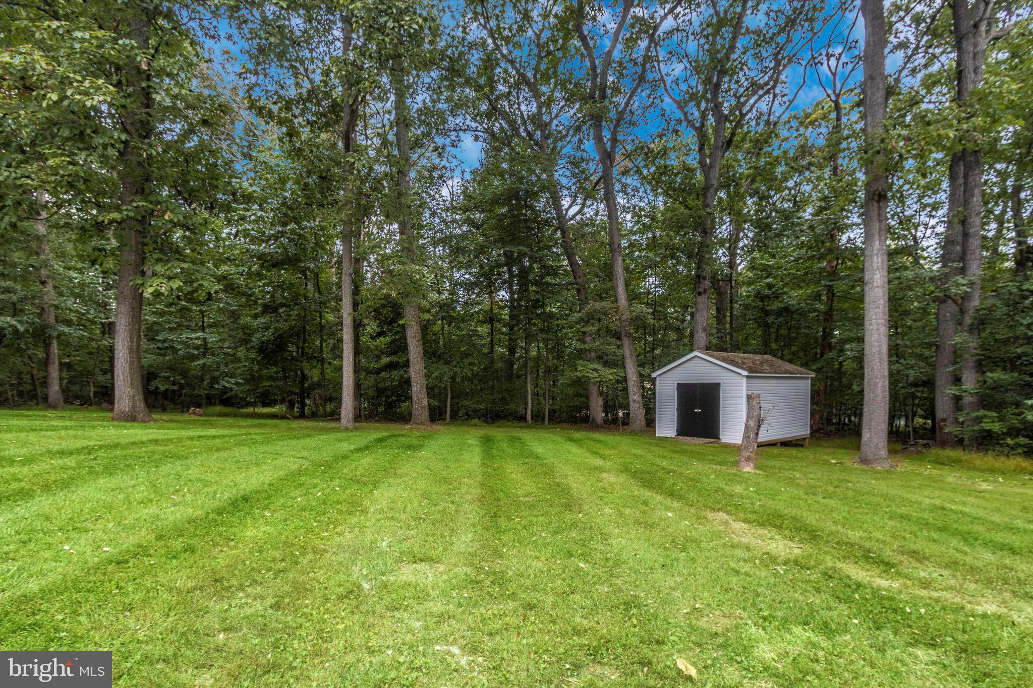 4842 Old Bartholows Road Mount Airy, MD 21771 - Photo 38 of 38 Backyard with Shed