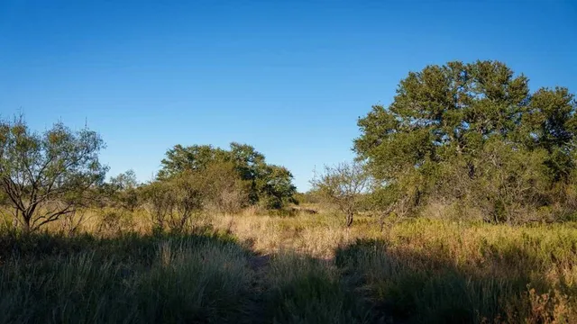 a view of a lake in between two chairs