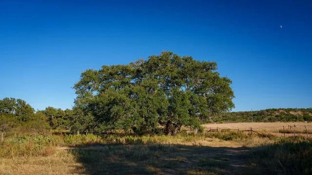 a view of lake with green space