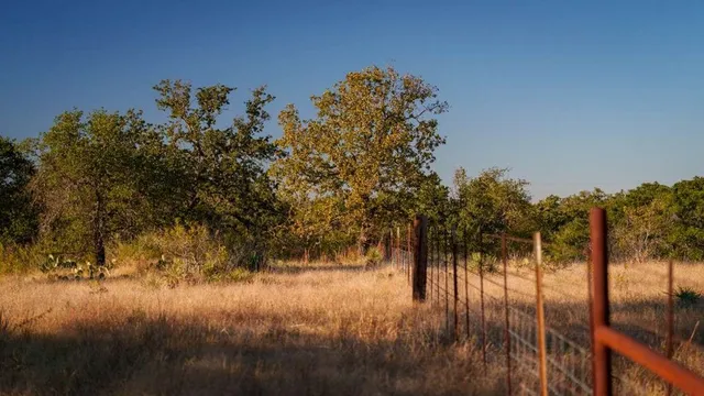 a view of yard with trees