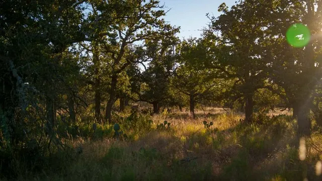 a view of a room with wooden walls