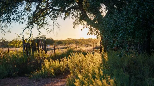 a view of small house