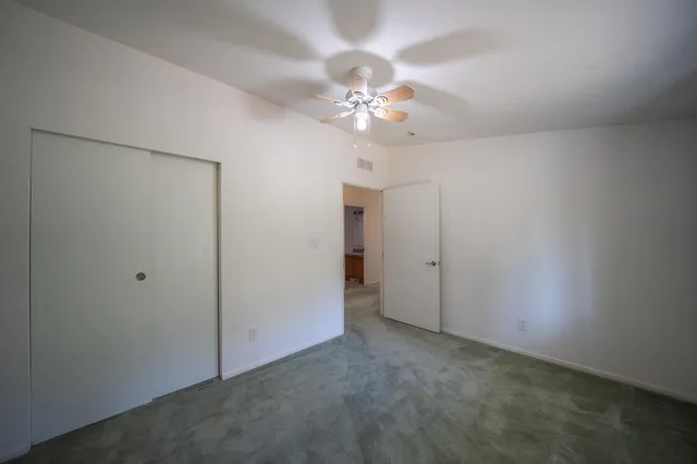 a view of a yard with plants and trees