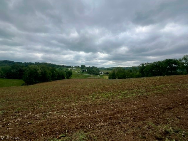 Blacksnake Hill Road Dover, OH 44622 - Photo 6 of 10