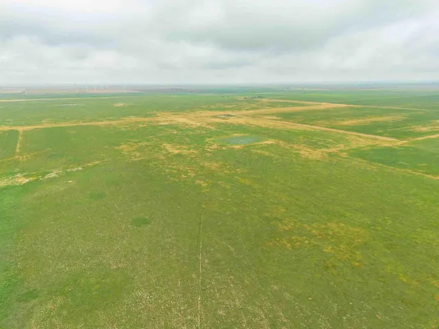 $2,500,000 | 1 St 326.18 Acres Friona Tx 79035, Friona, TX 79035