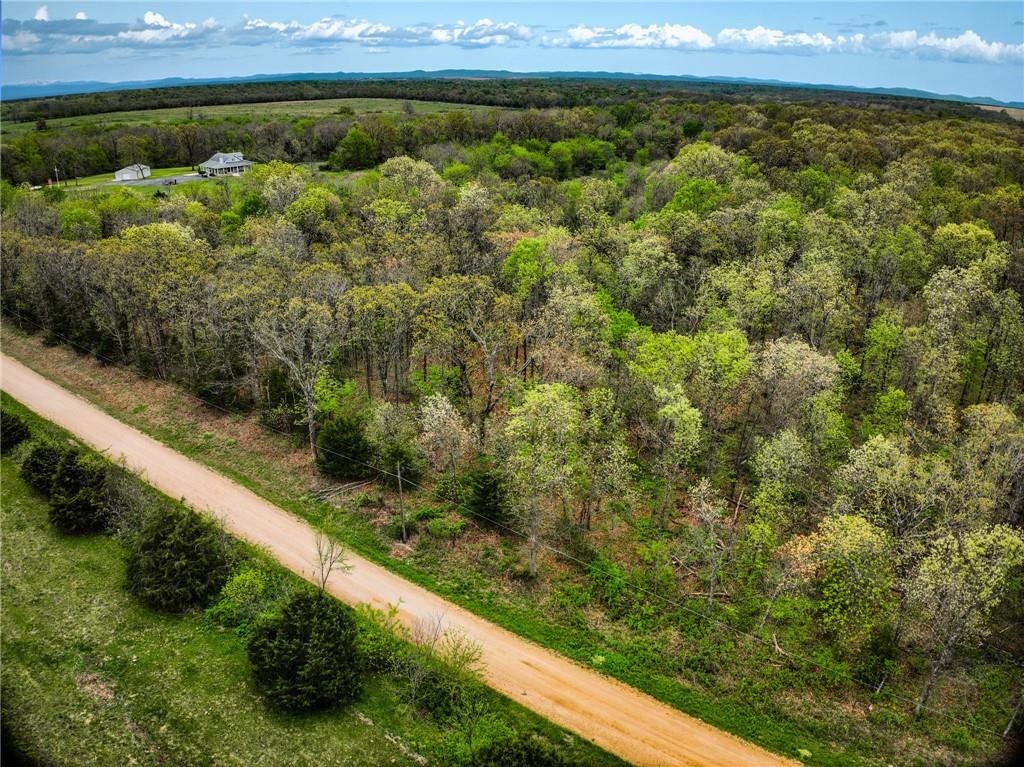 Lot 2 South 725 Road Stockton, MO 65785 - Photo 43 of 48