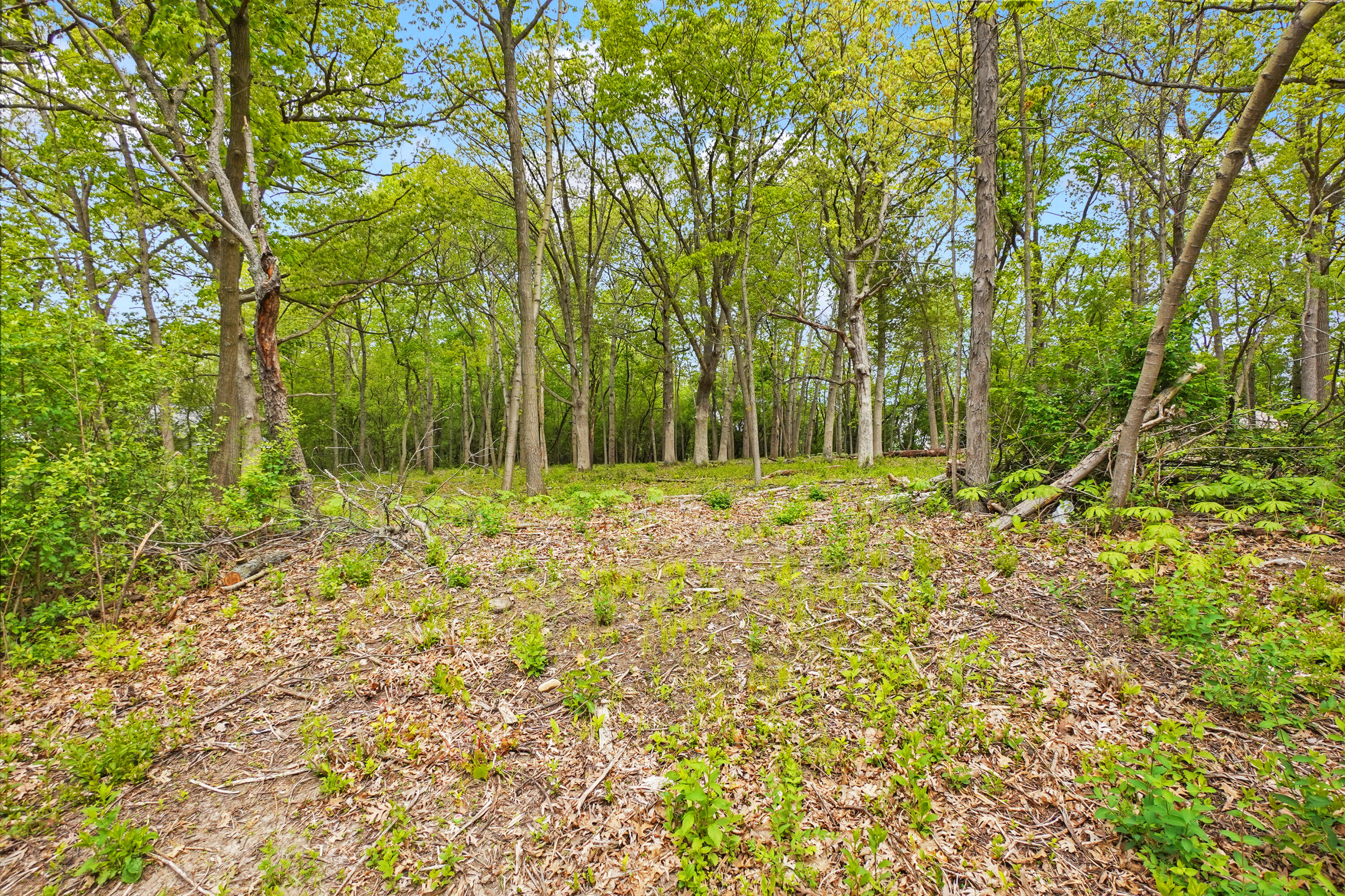 Pcl2 Hill Street, Unit CSM 6350 Merton, WI 53029 - Photo 4 of 5 Lot View