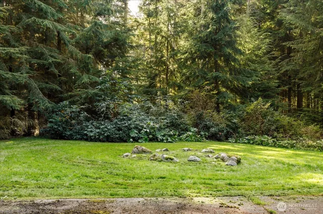a view of yard with grass and green space