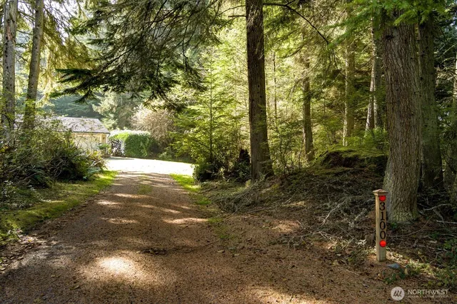 a view of yard with green space