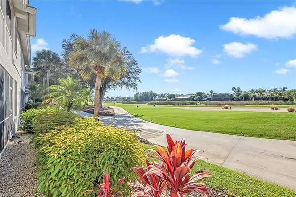 a view of a park with large trees