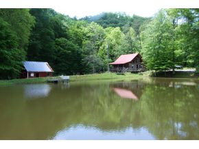 171 High Rock Road Rogersville, TN 37857 - Photo 5 of 6 Photo 5