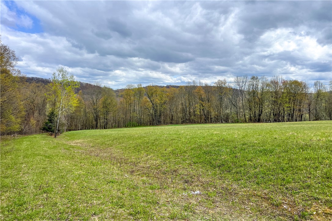 Lot 3 Brownell Road Bloomville, NY 13739 - Photo 13 of 35