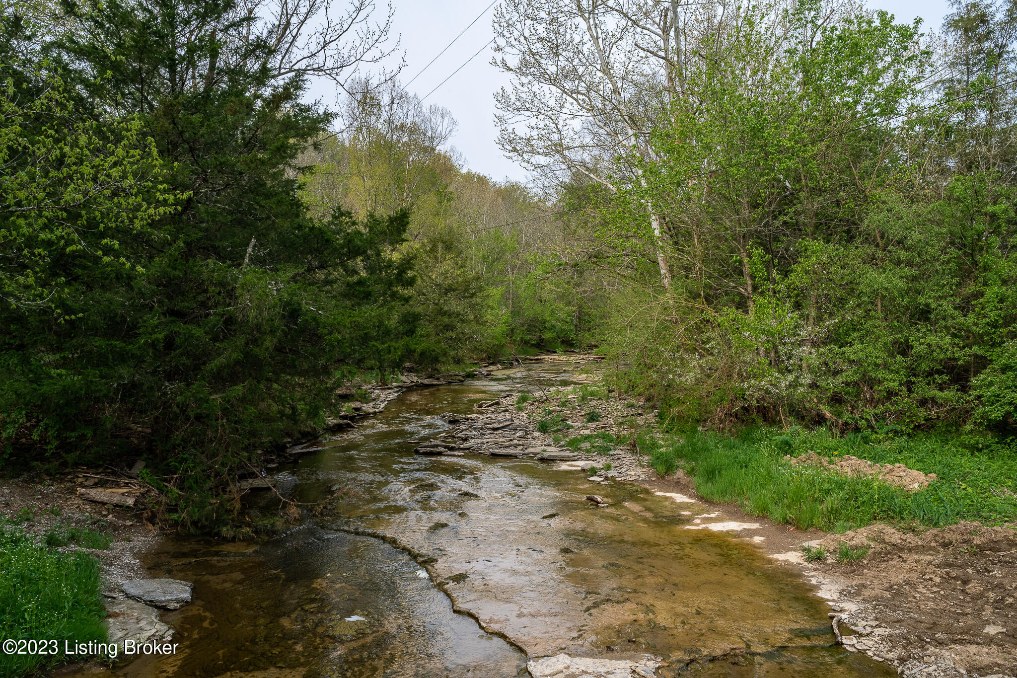 7962 Plum Run Rd-29