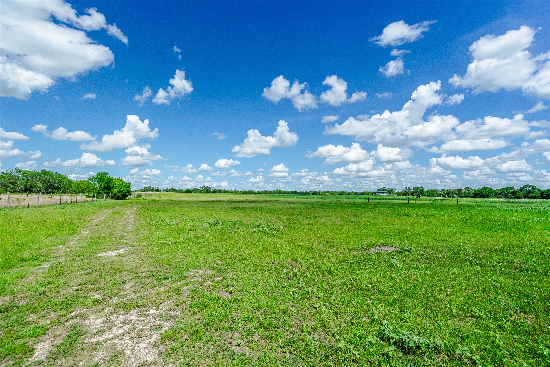 3109 Tenney Creek Road Dale, TX 78616 - Photo 4 of 23 Property is ready for you and what you wish to build. It is cleared from brush.