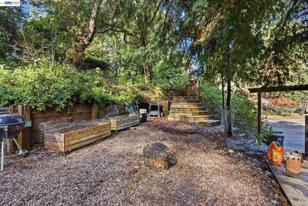 a view of a house with a lush green forest