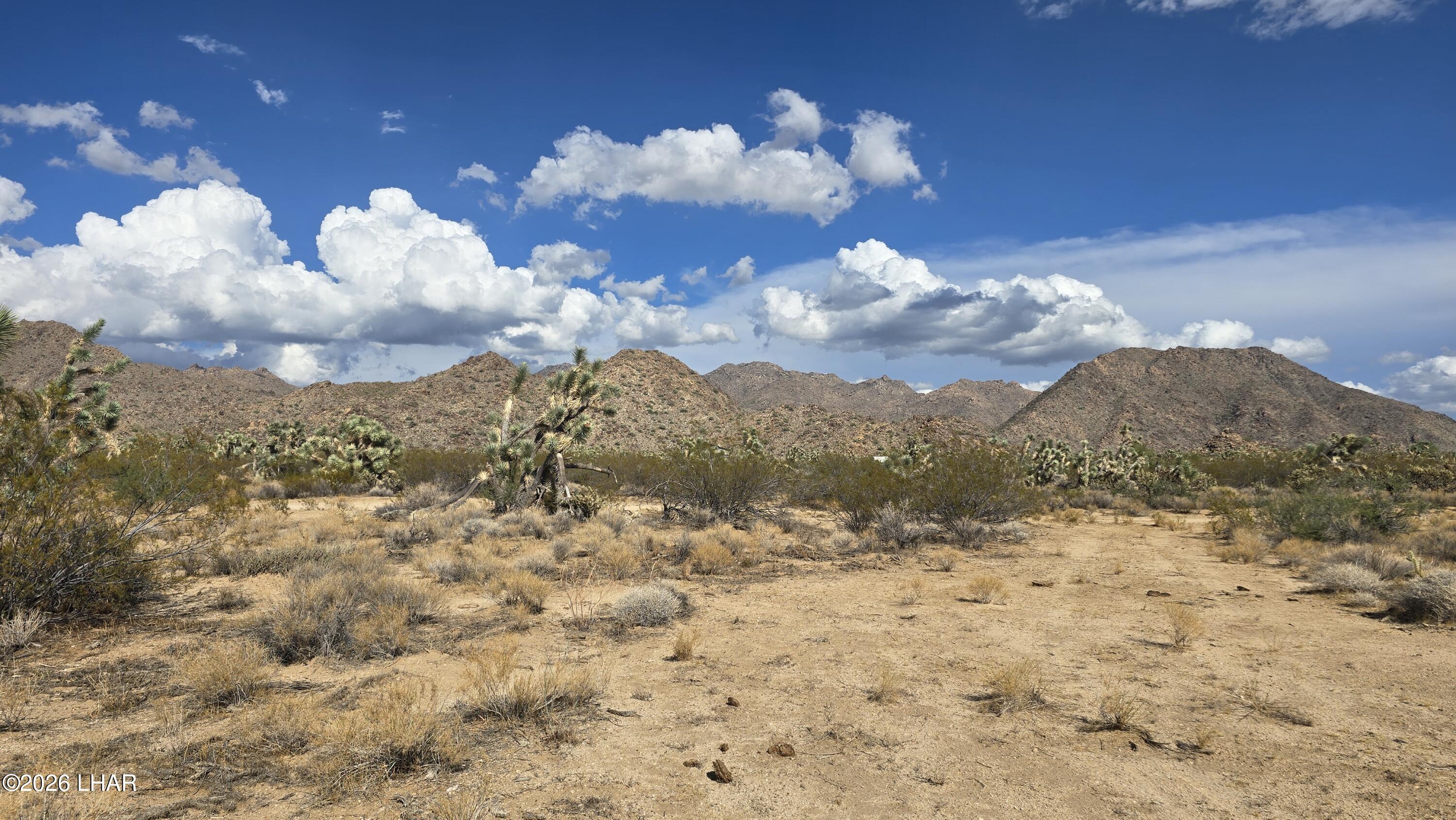 208-27196d South Kinard Road Yucca, AZ 86438 - Photo 26 of 40 20260831_160550