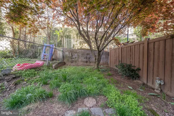 a view of a backyard with potted plants and large trees